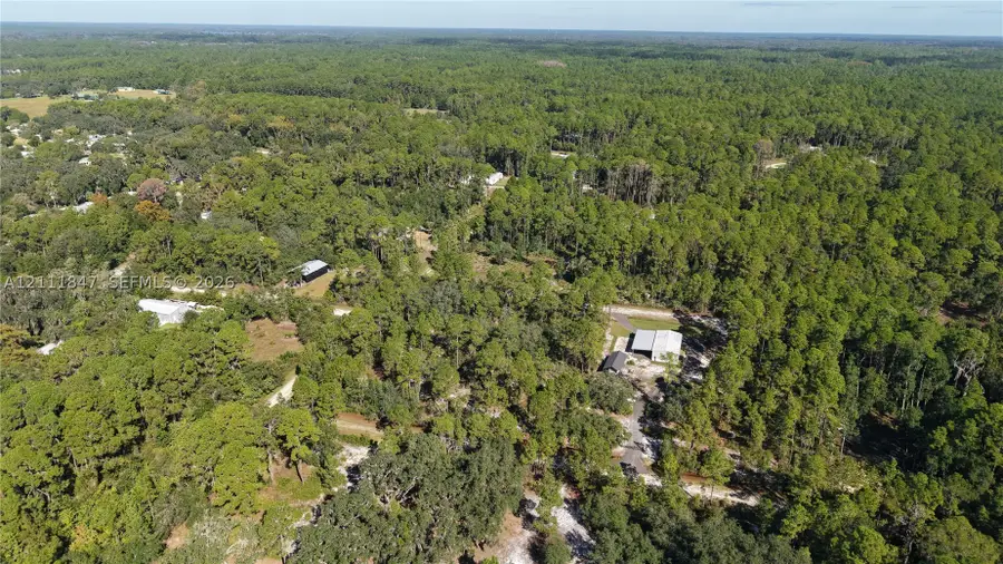 104 Marie, Georgetown, FL 32139 - #3