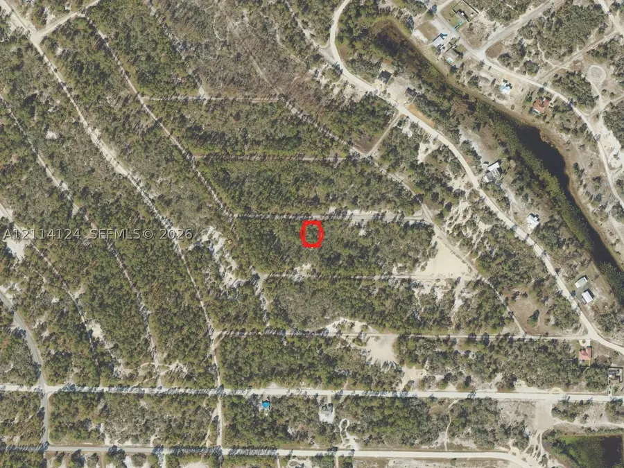 419 Surrender, Lake Placid, FL 33852 - #3