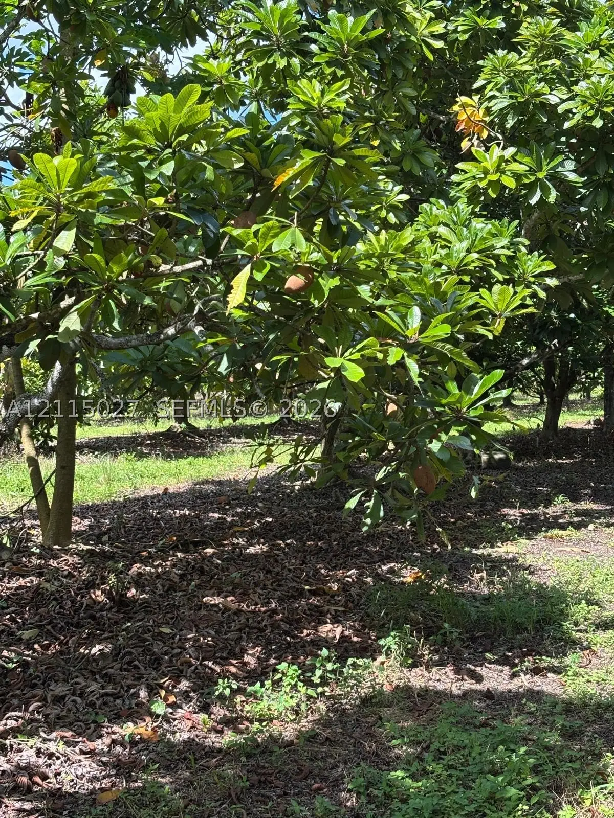 165, Miami, FL 33187 - #1