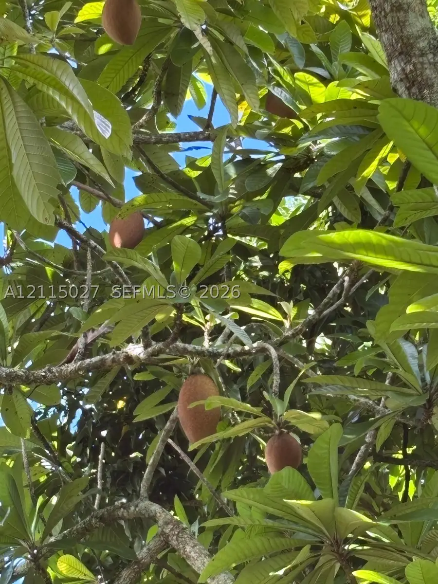 165, Miami, FL 33187 - #3