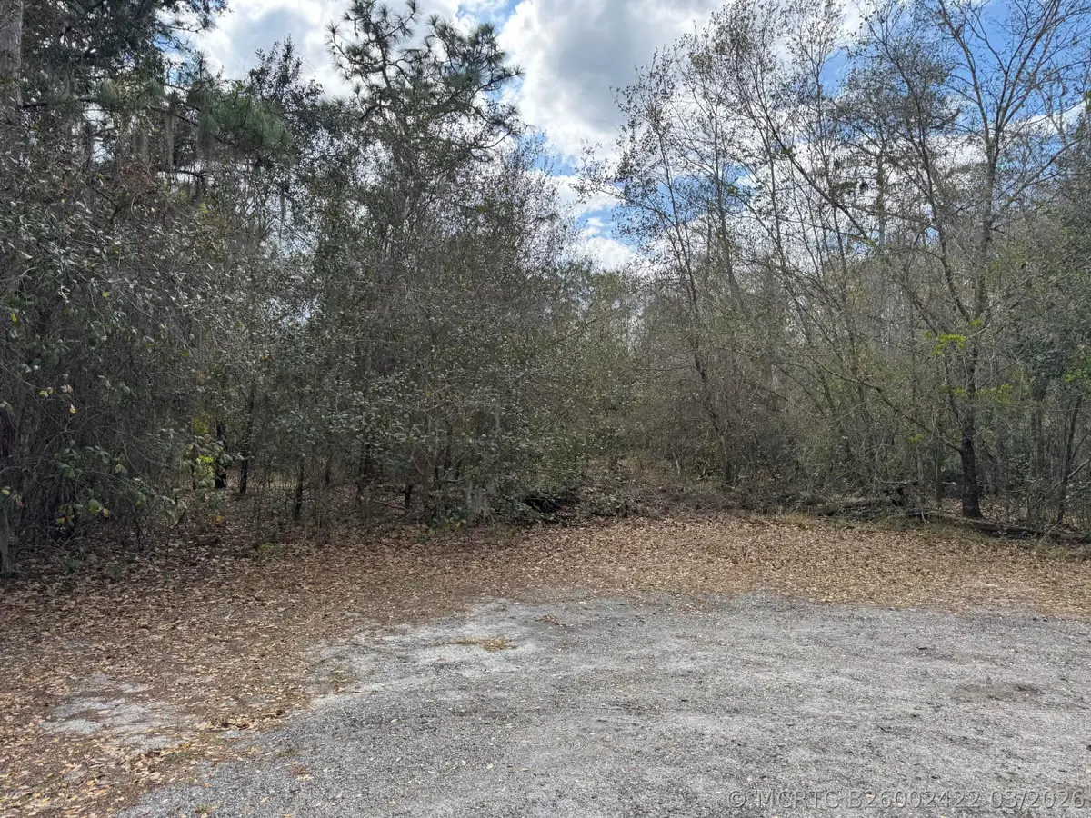 000 1st Street, Kenansville, FL 34739 - #1