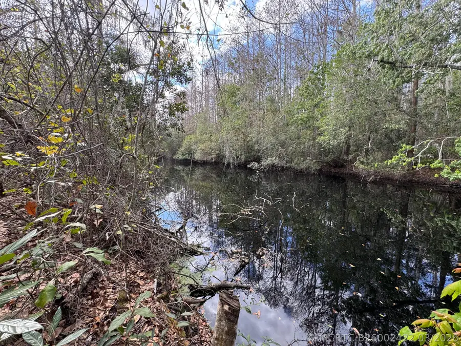 000 1st Street, Kenansville, FL 34739 - #2