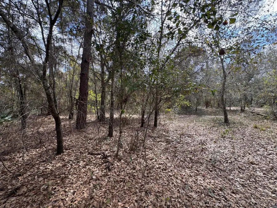 000 1st Street, Kenansville, FL 34739 - #3