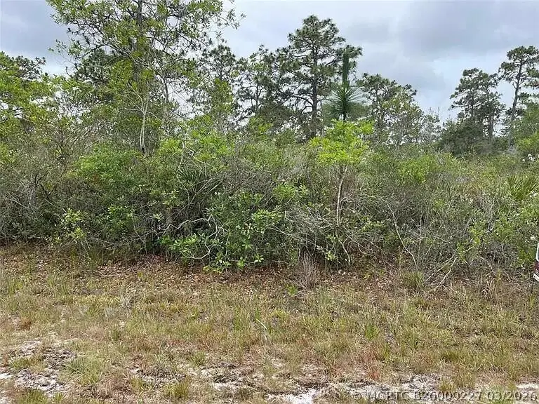 0 Bougainvillea Drive, Indian Lake Estates, FL 33855 - #2