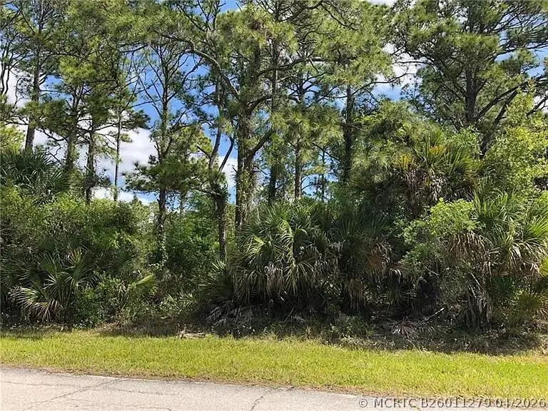 15138 Carousel Lane, Port Charlotte, FL 33953 - #1