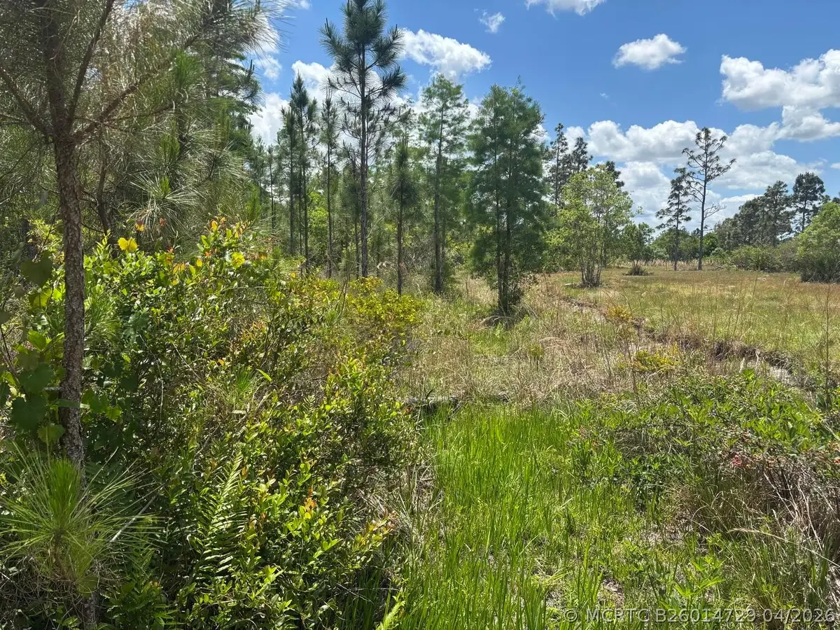 0 Holopaw Groves Road, Saint Cloud, FL 34772 - #1