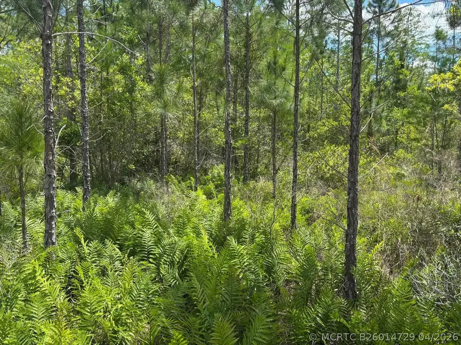 0 Holopaw Groves Road, Saint Cloud, FL 34772 - #2