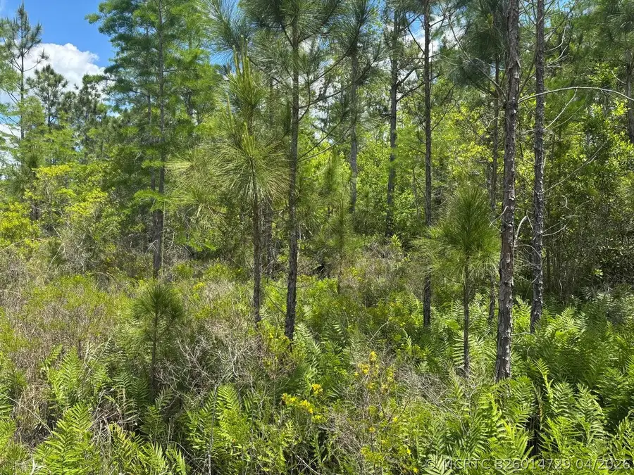 0 Holopaw Groves Road, Saint Cloud, FL 34772 - #3
