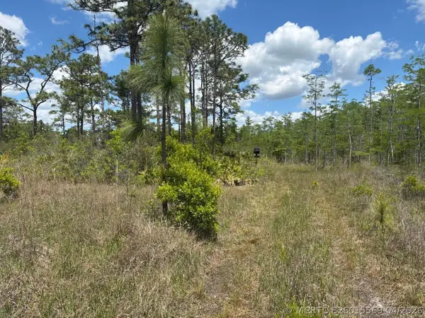 0 Holopaw Groves Road, St Cloud, FL 34772