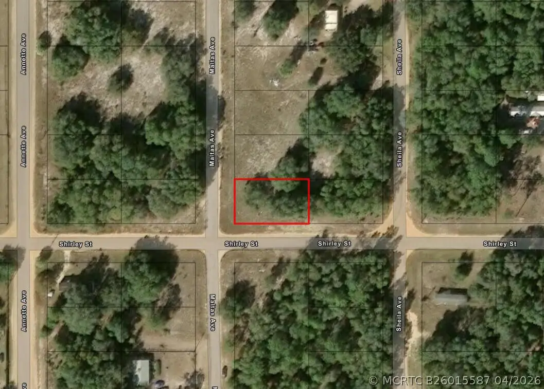 0 Shirley Street, Interlachen, FL 32148 - #1