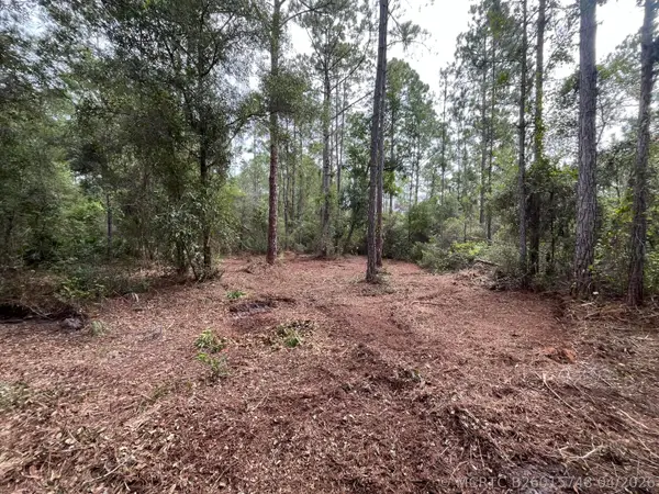 122 Glenside Street, Georgetown, FL 32139