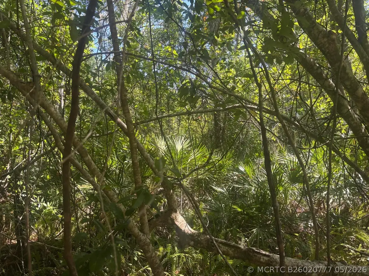 536 Bright Hill Avenue, Lake Placid, FL 33852 - #1