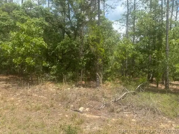 8593 N Bambury Terrace, Citrus Springs, FL 34434