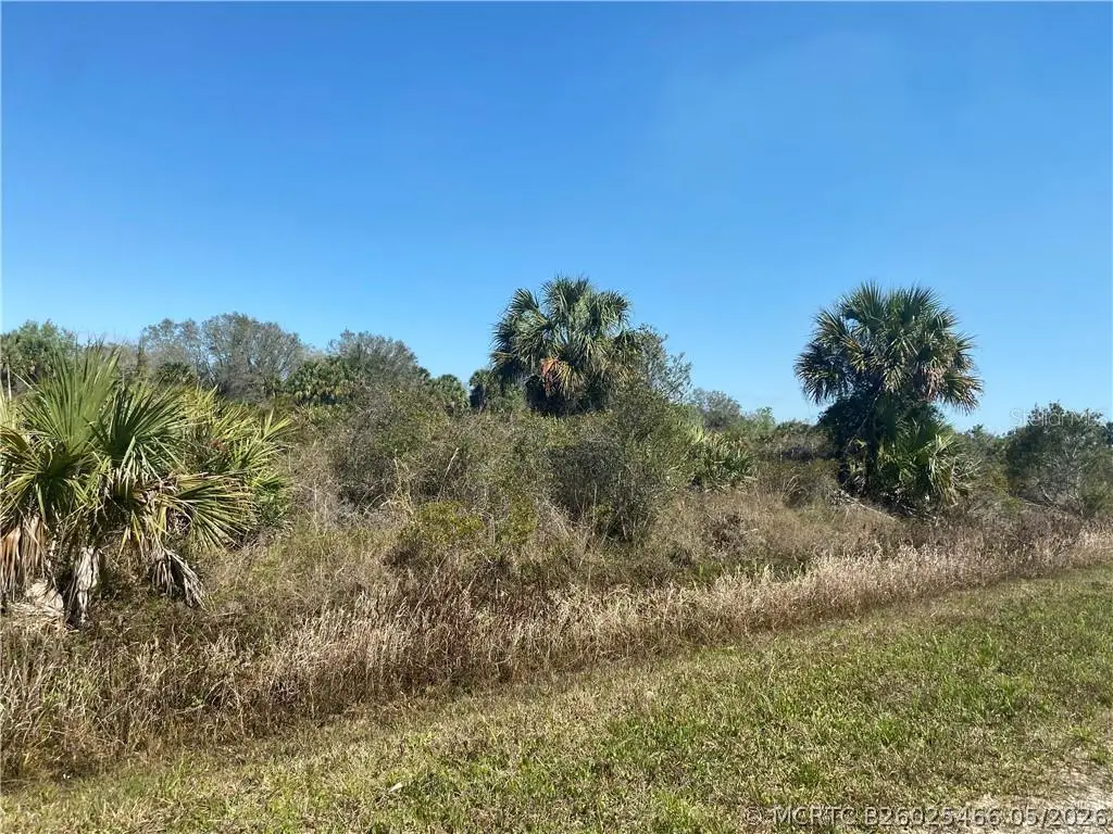 19580 NW 268th Street, Okeechobee, FL 34972 - #1
