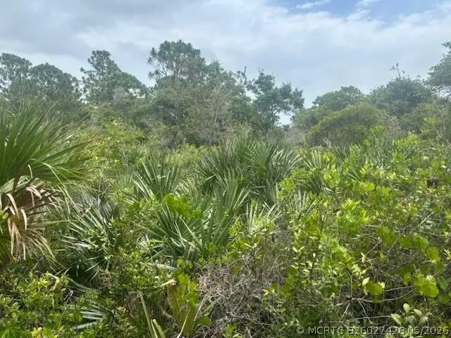 0 Turnpike Feeder Road, Fort Pierce, FL 34945 - #3