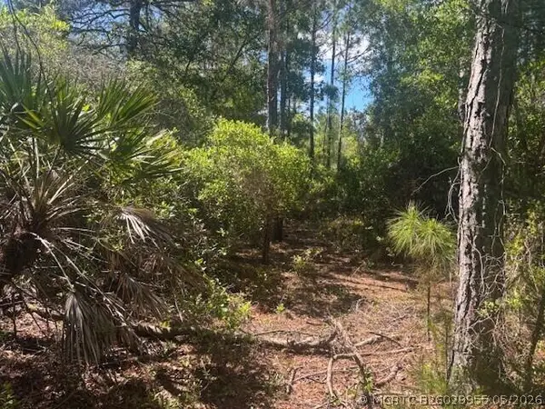 0 Golden Shores Blvd, Mims, FL 32754