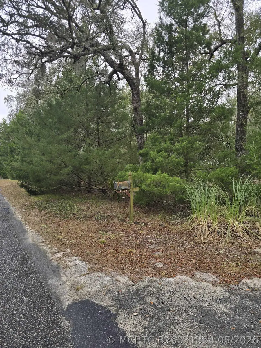 12890 NW 90th Avenue, Chiefland, FL 32626 - #3