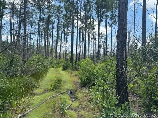 0 Holopaw Groves Road, Saint Cloud, FL 34772 - #3