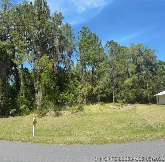 3303 N Canterbury Lake Drive, Hernando, FL 34442 - #2
