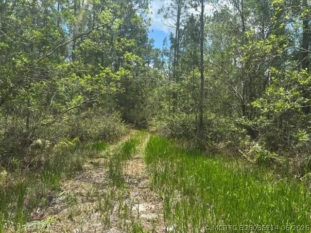0 Water Road, Groveland Mascotte, FL 33868 - #1