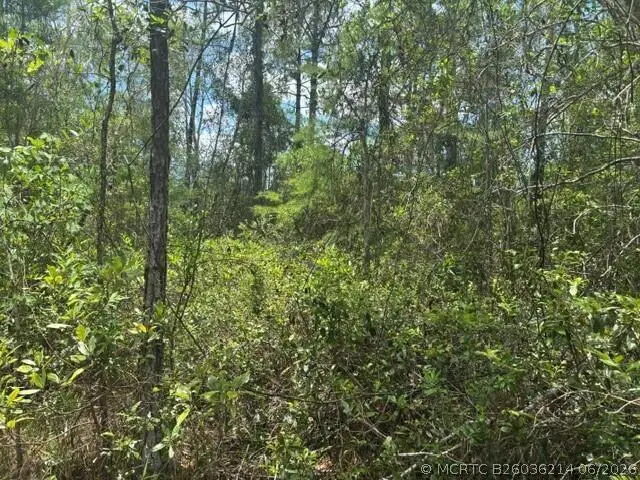 0 Water Road, Groveland Mascotte, FL 33868 - #2