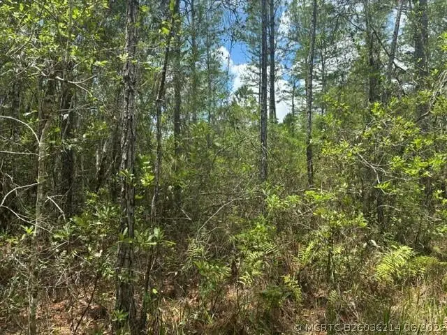 0 Water Road, Groveland Mascotte, FL 33868 - #3