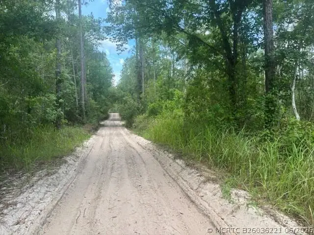 0 Water Road, Groveland Mascotte, FL 33868 - #1