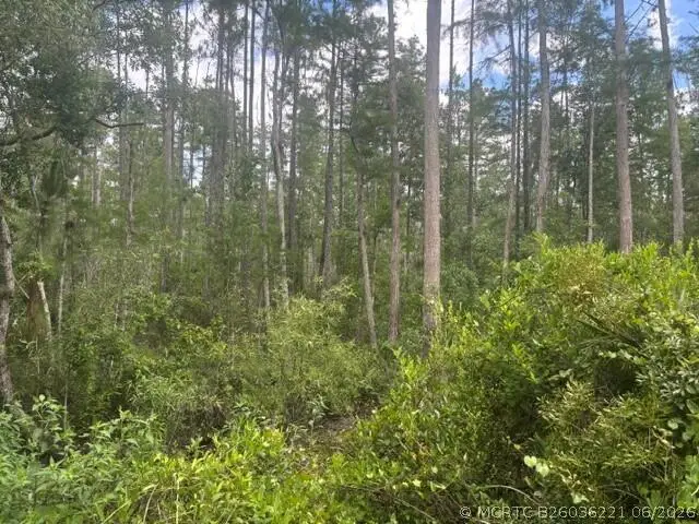 0 Water Road, Groveland Mascotte, FL 33868 - #2