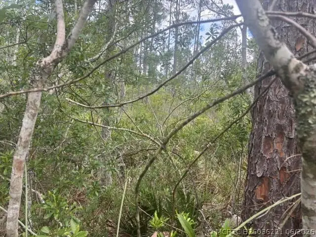 0 Water Road, Groveland Mascotte, FL 33868 - #3