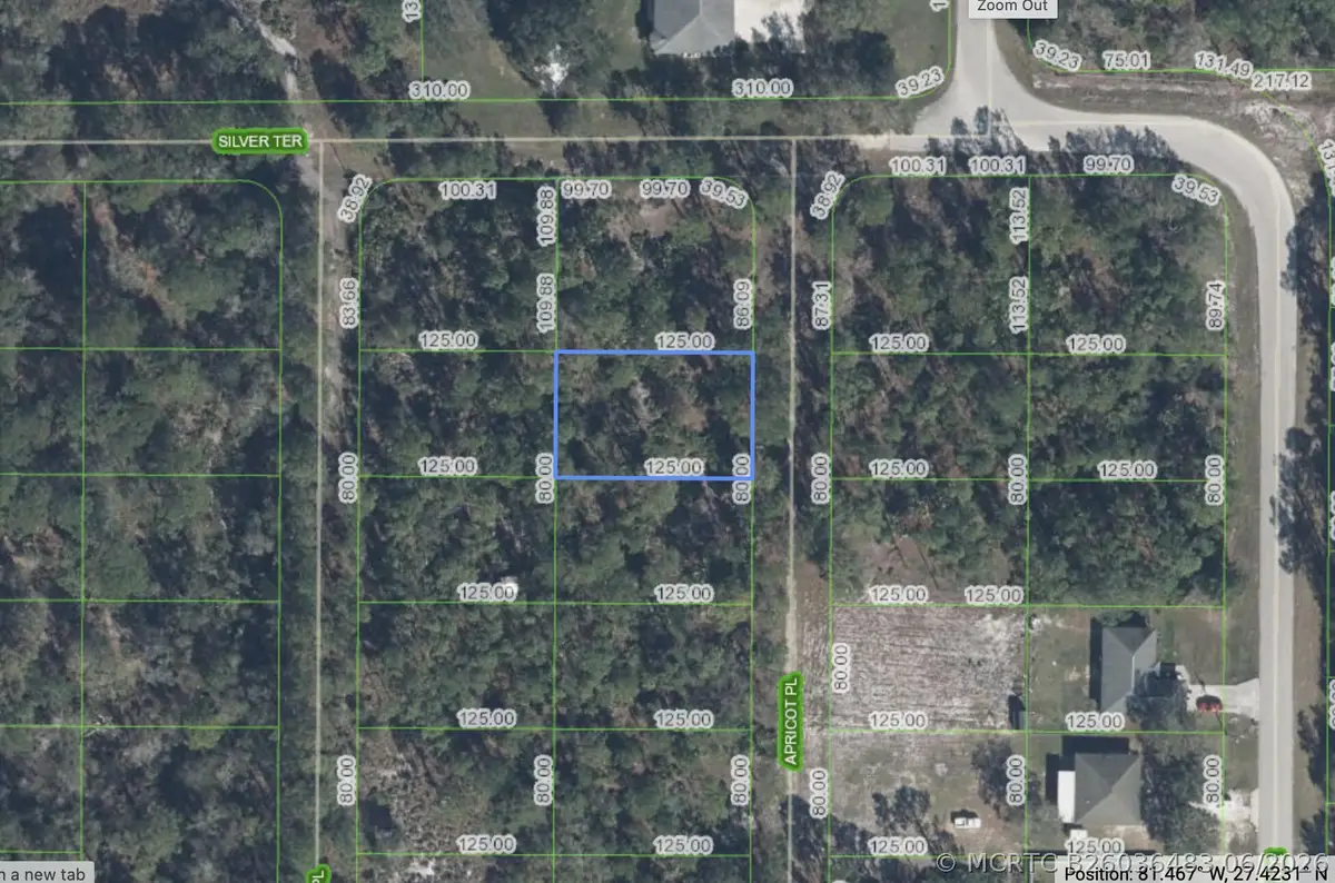 6503 E Apricot Place, Sebring, FL 33875 - #1