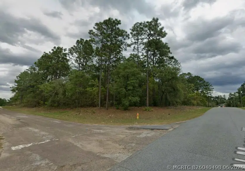 9239 N Marcus Way, Citrus Springs, FL 34433 - #3
