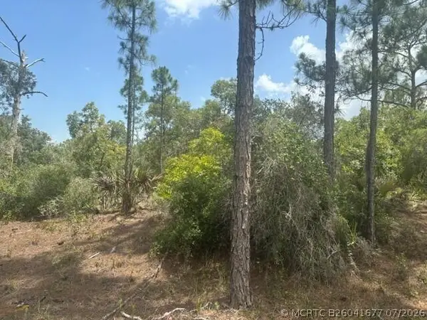 387 Marionette Avenue, Lake Placid, FL 33852