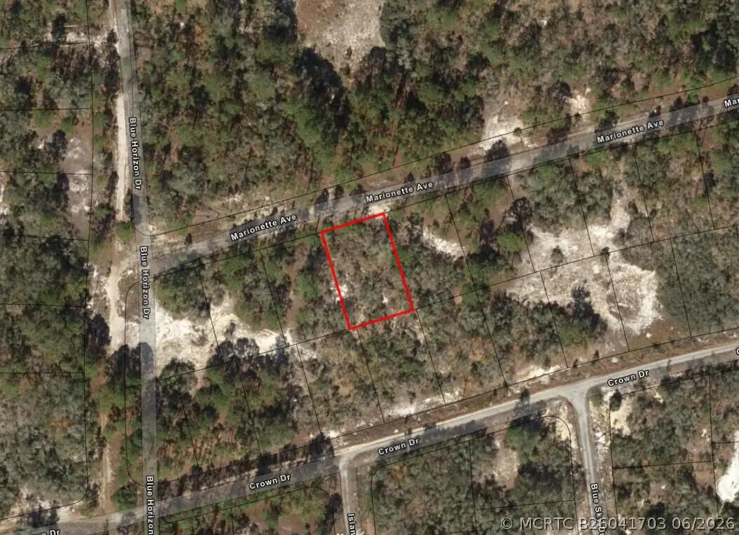 124 Eversole Avenue, Lake Placid, FL 33852 - #1