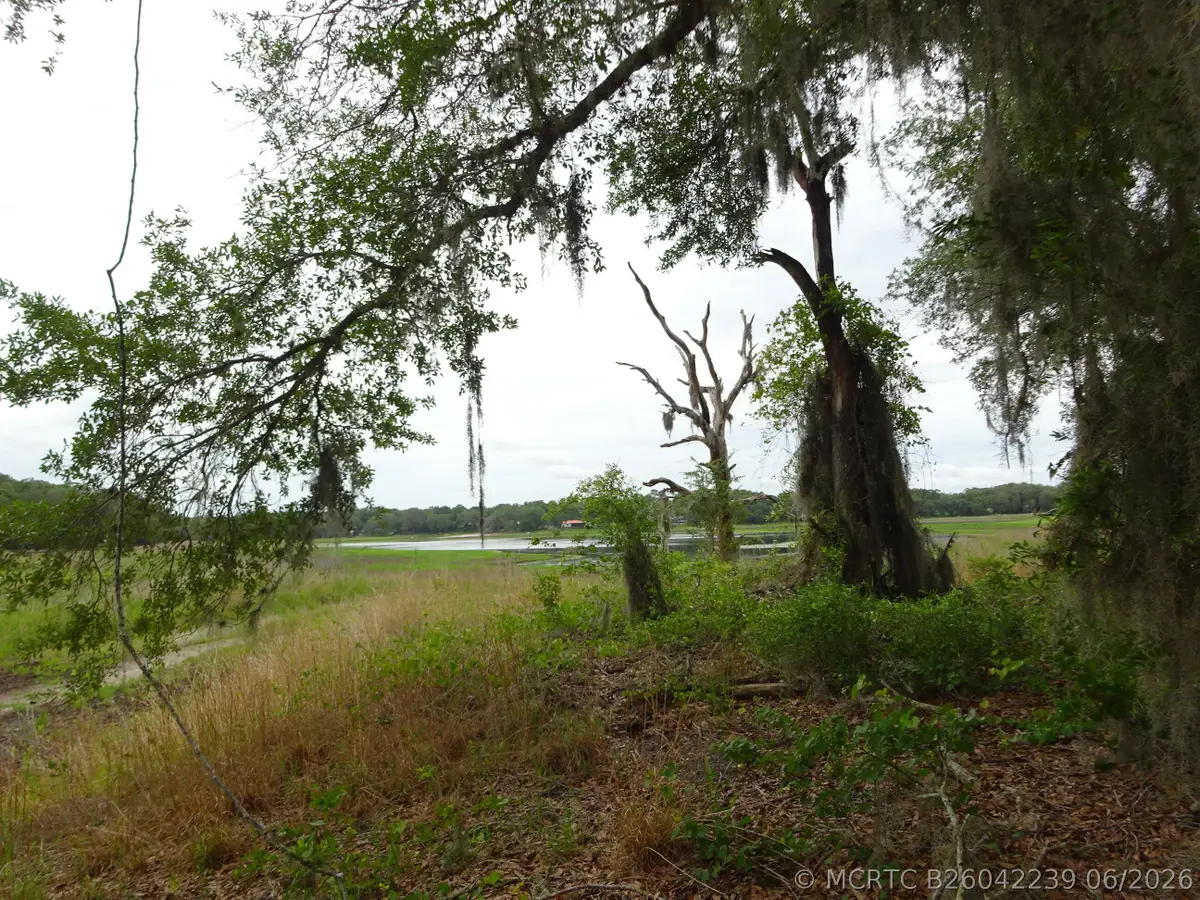 2208 SW Shorewood Drive, Dunnellon, FL 34431 - #1