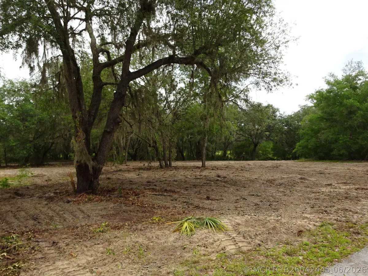 Lots 449,450,451,452,453 SW Shorewood Drive Sw, Dunnellon, FL 34431 - #1