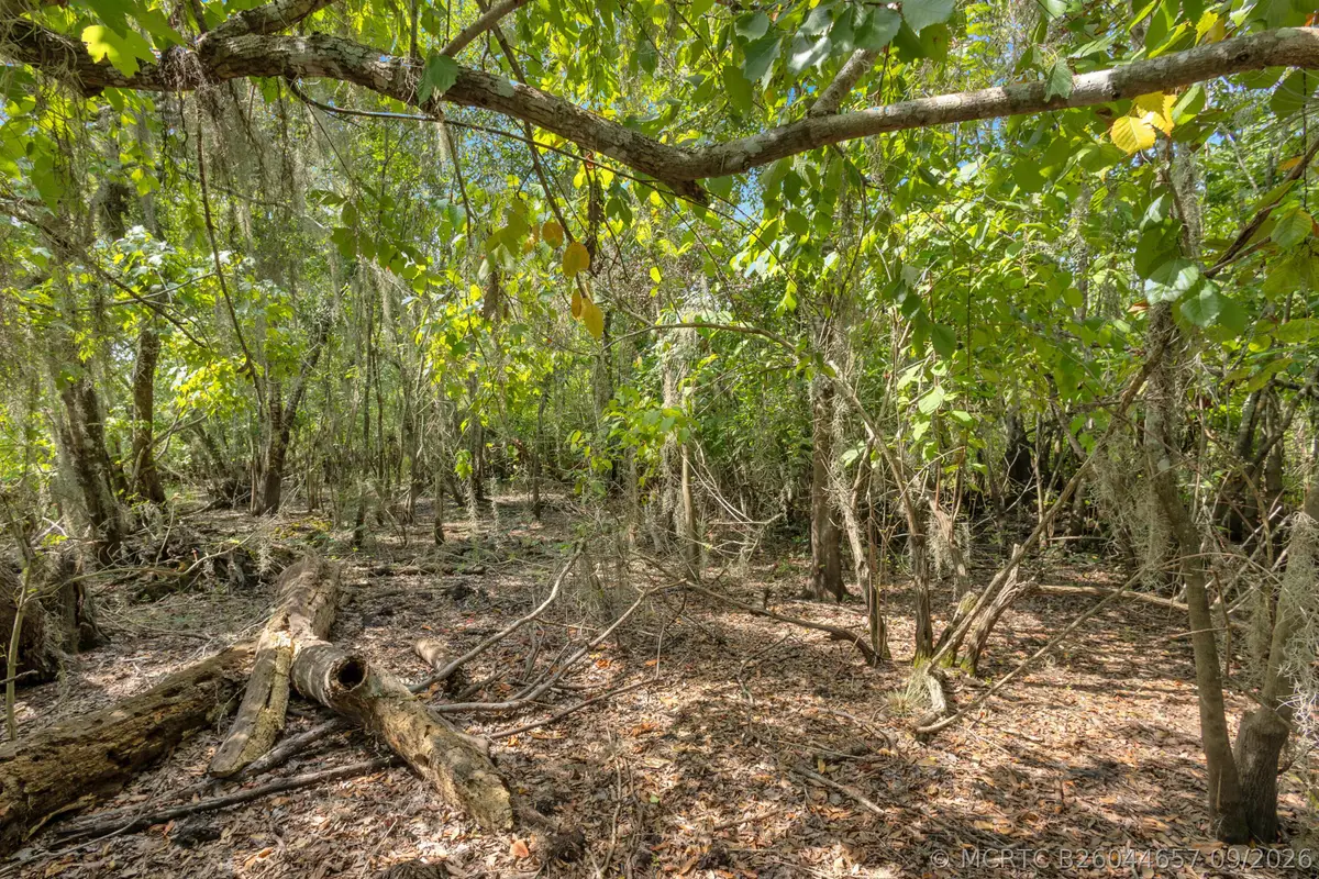 0000 Cummer Road, Deland, FL 32720 - #1