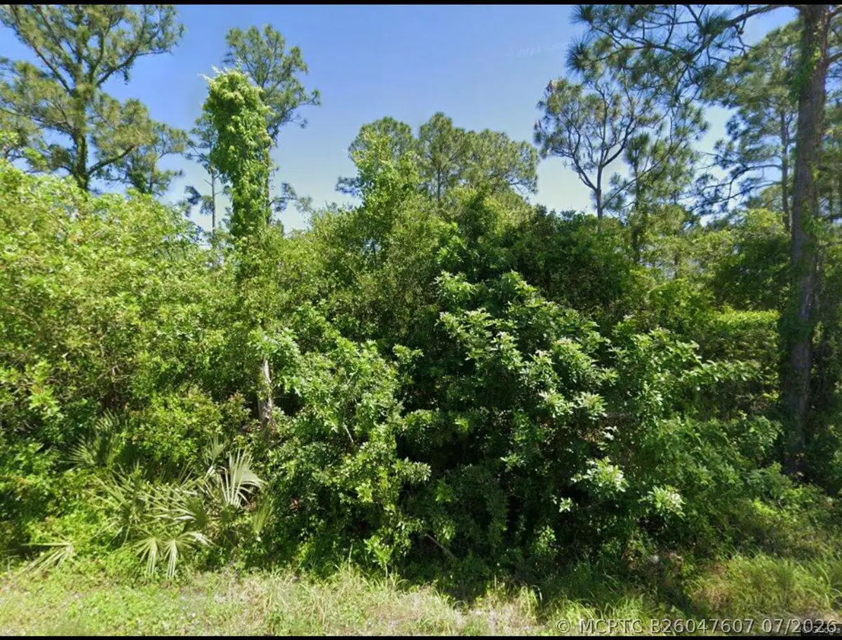 111 Suwannee Lane, Lake Placid, FL 33852 - #1