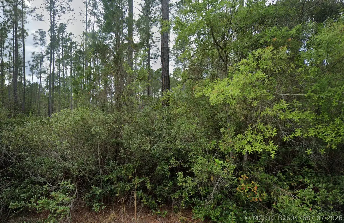 105 Glenside Street, Georgetown, FL 32139 - #1
