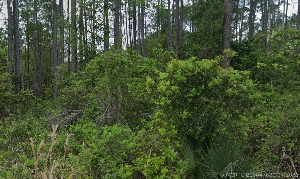 00 Glenside Street, Georgetown, FL 32139 - #1