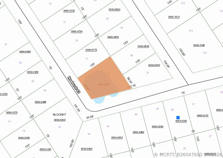 000 Roebuck Street, Georgetown, FL 32139 - #2