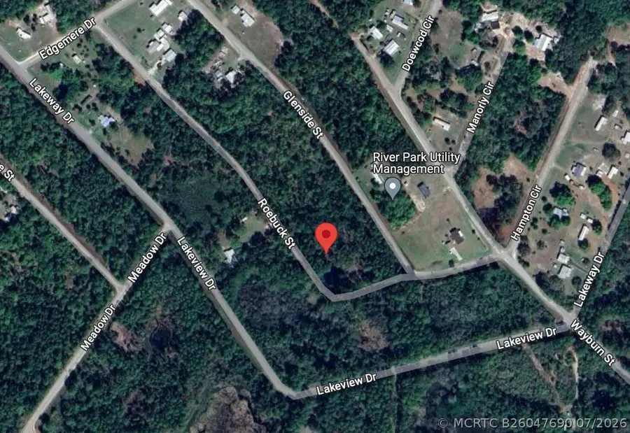 000 Roebuck Street, Georgetown, FL 32139 - #3