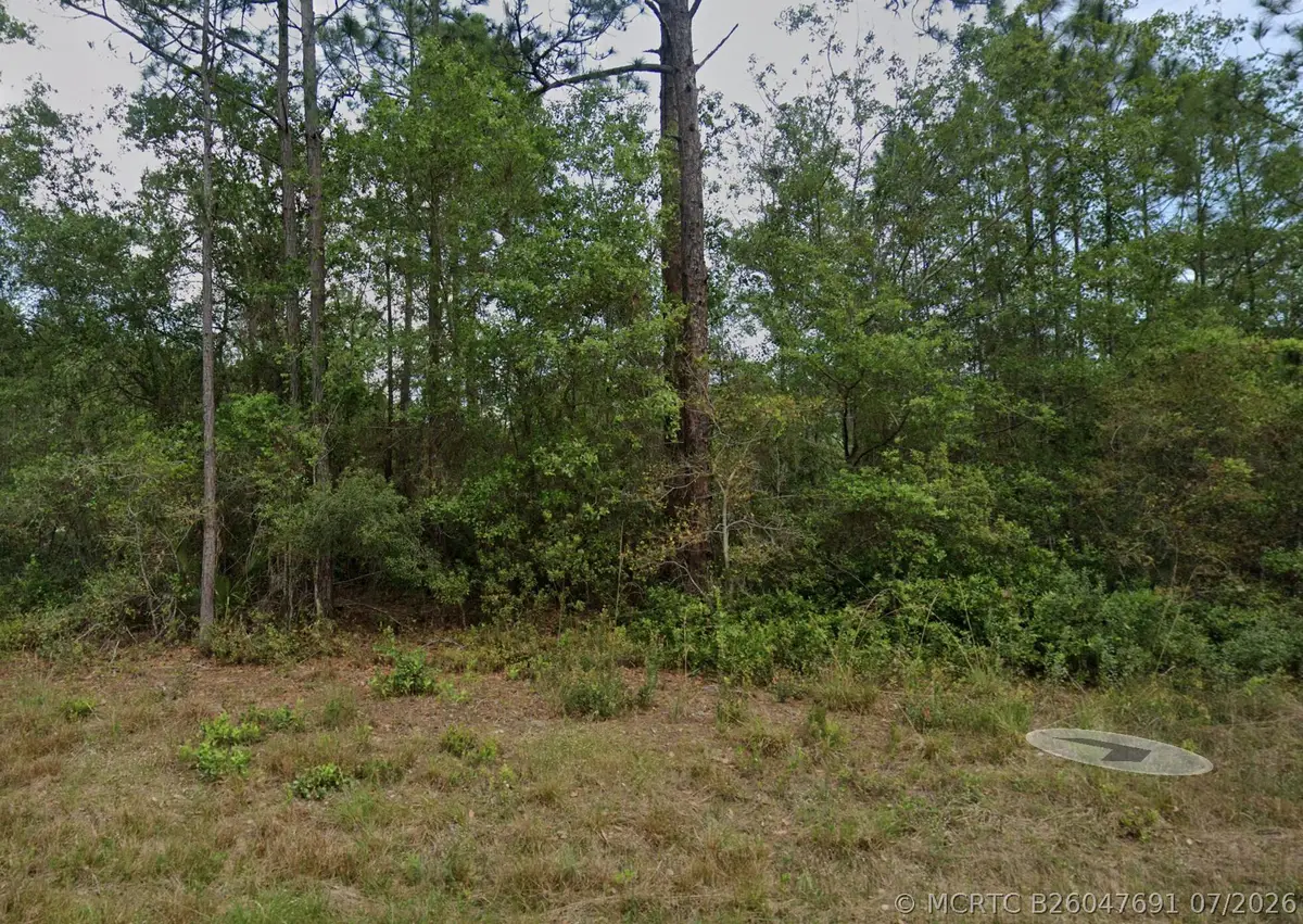 124 Roebuck Street, Georgetown, FL 32139 - #1