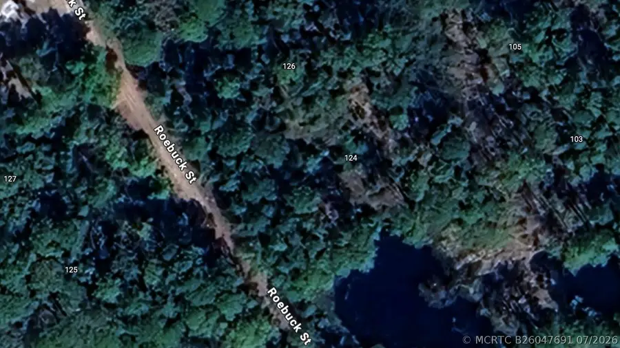 124 Roebuck Street, Georgetown, FL 32139 - #2