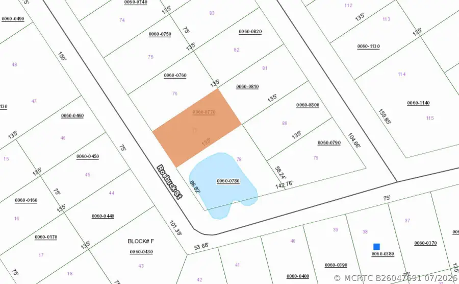 124 Roebuck Street, Georgetown, FL 32139 - #3