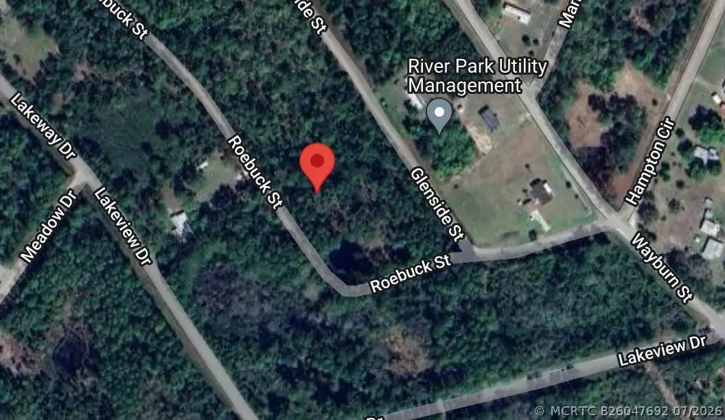 126 Roebuck Street, Georgetown, FL 32139 - #1