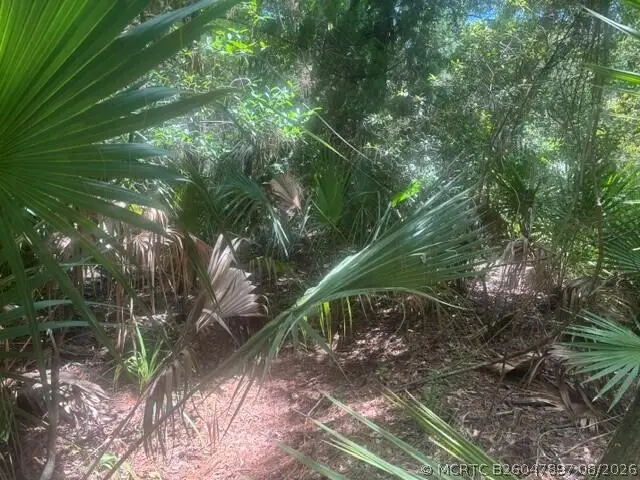 0 Ave O Avenue, Ormond Beach, FL 32174 - #3