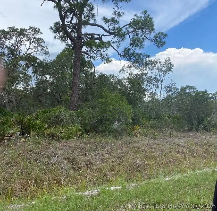 1002 Archie Summers Road, Lake Placid, FL 33852 - #1
