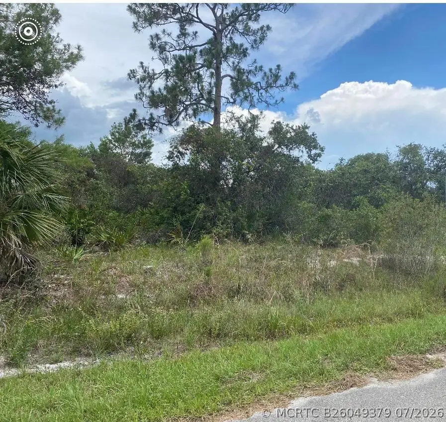 1010 Archie Summers Road, Lake Placid, FL 33852 - #1