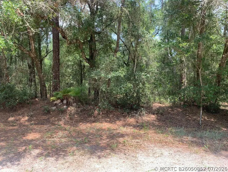 112 New Jersey Street, Satsuma, FL 32189 - #1