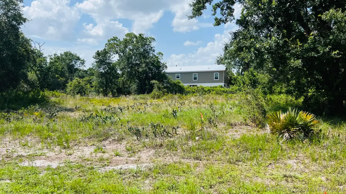 3151 Miller Avenue, Lake Placid, FL 33852 - #1